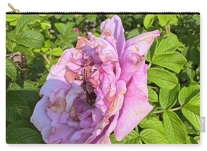 Nippersink Rose - Zip Pouch