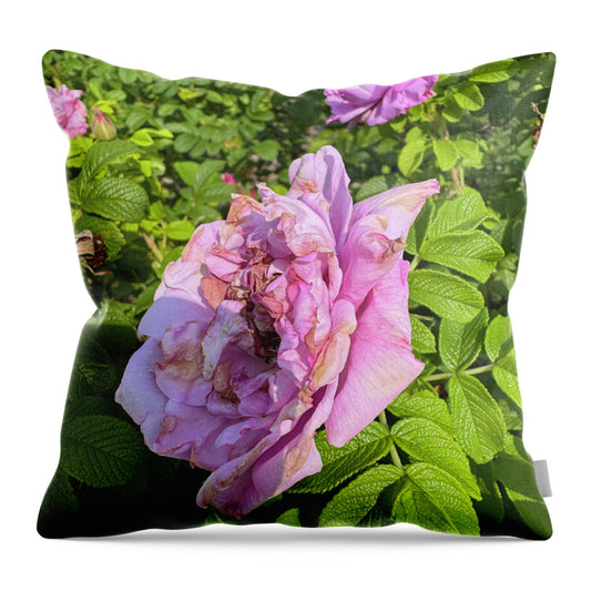 Nippersink Rose - Throw Pillow