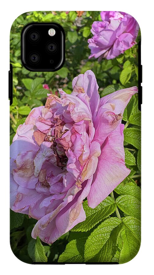Nippersink Rose - Phone Case