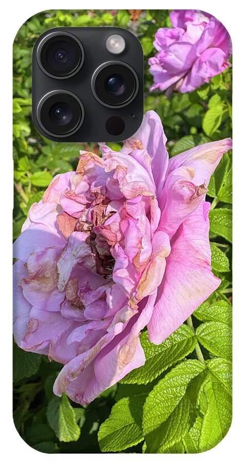 Nippersink Rose - Phone Case