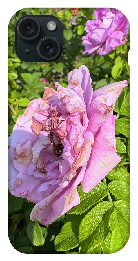 Nippersink Rose - Phone Case