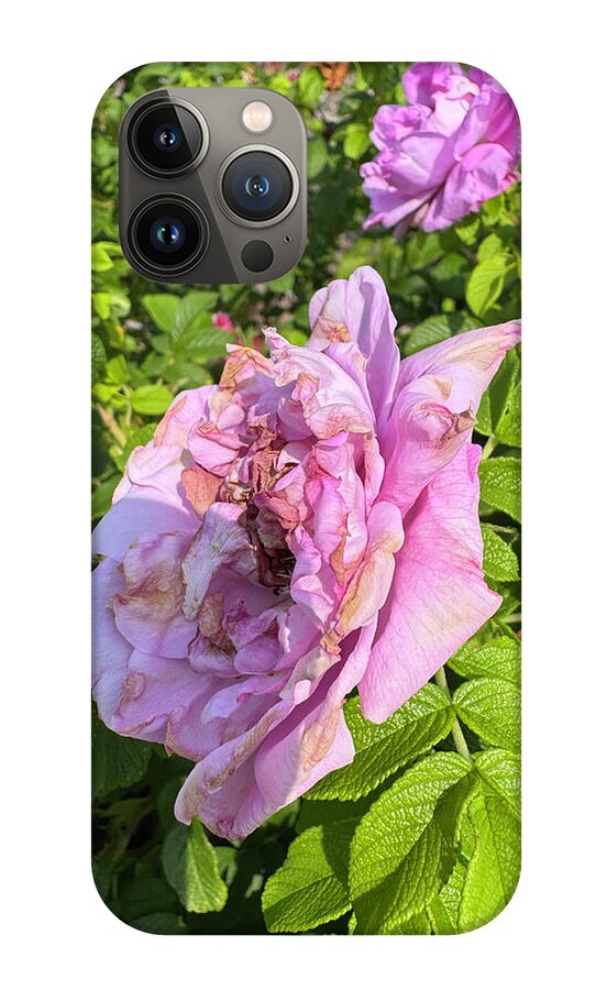 Nippersink Rose - Phone Case