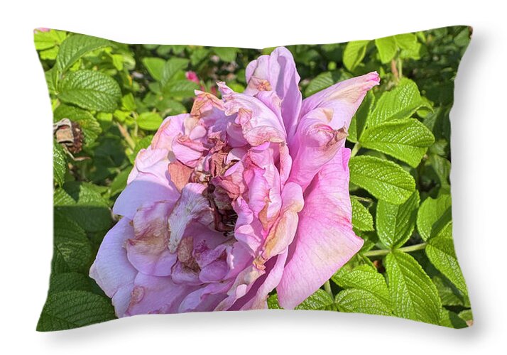 Nippersink Rose - Throw Pillow