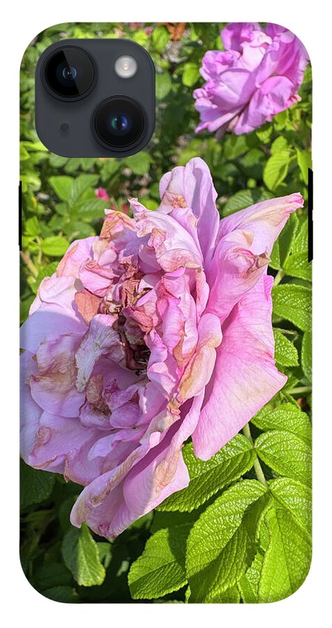 Nippersink Rose - Phone Case