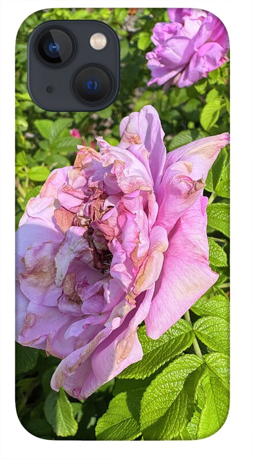 Nippersink Rose - Phone Case