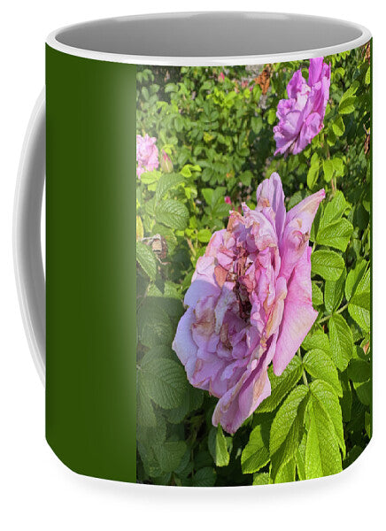 Nippersink Rose - Mug