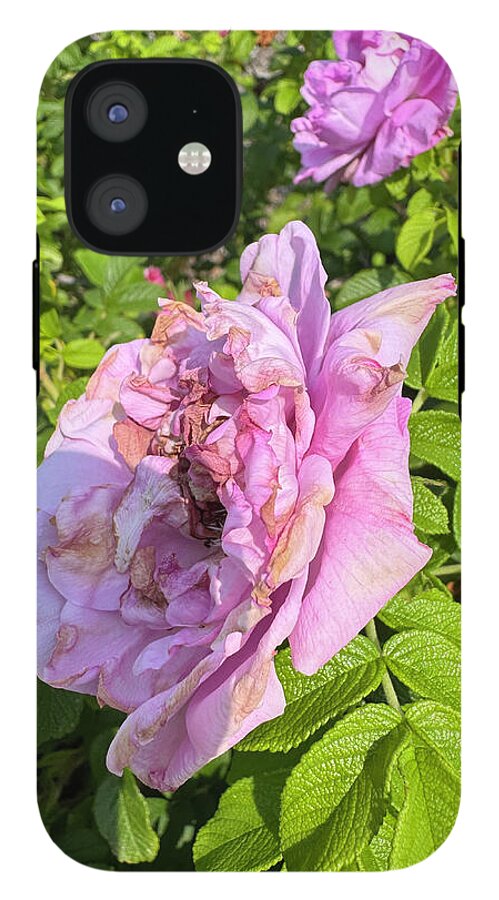 Nippersink Rose - Phone Case