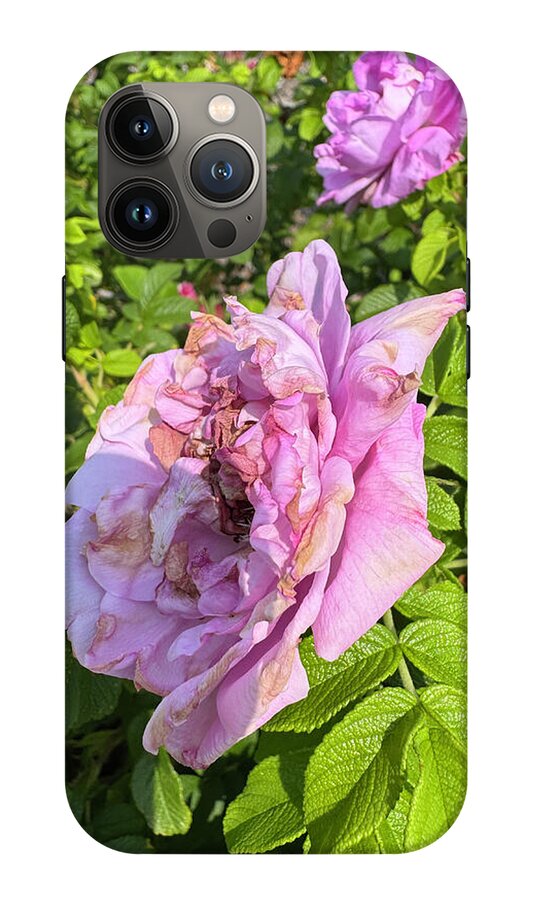 Nippersink Rose - Phone Case
