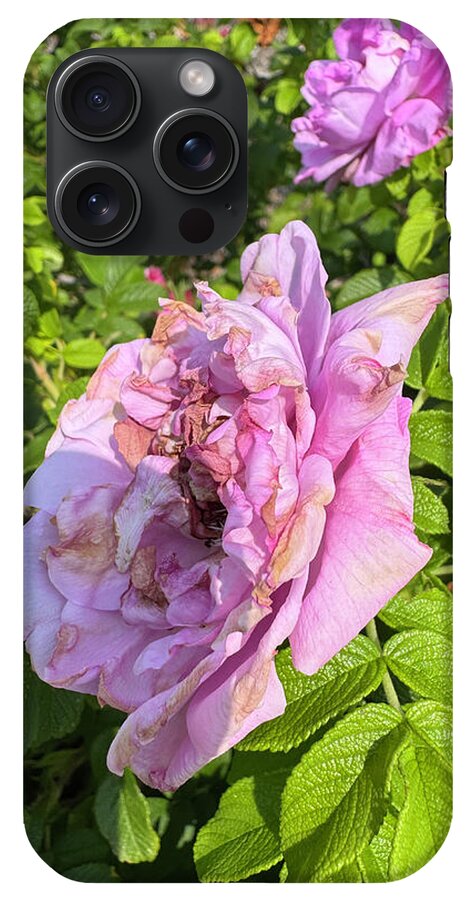Nippersink Rose - Phone Case