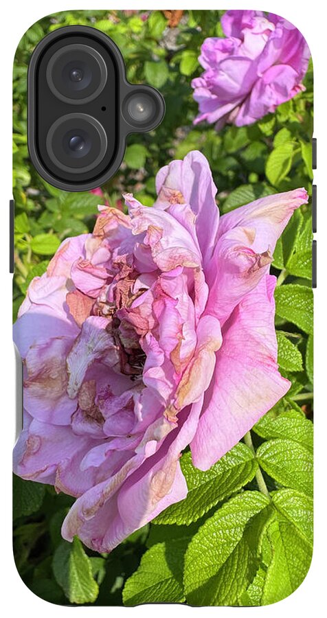 Nippersink Rose - Phone Case