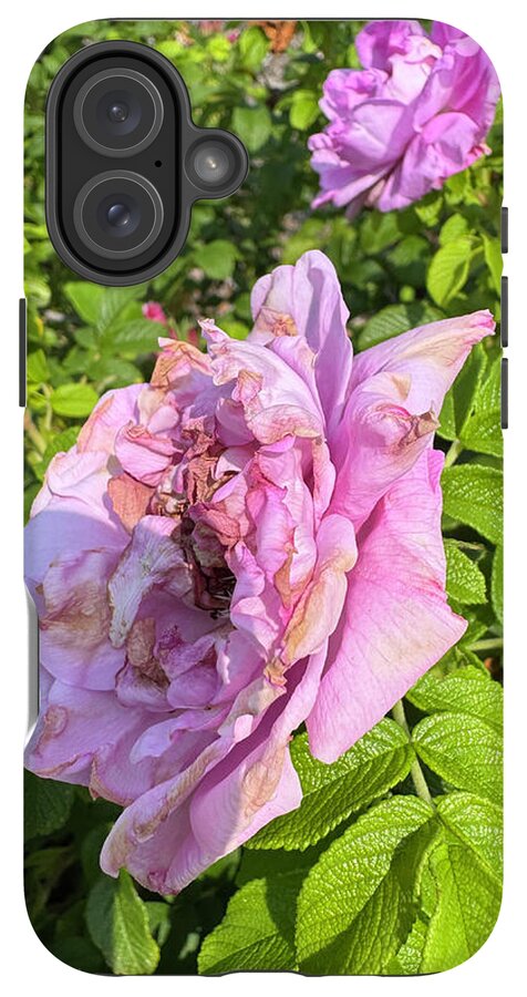 Nippersink Rose - Phone Case