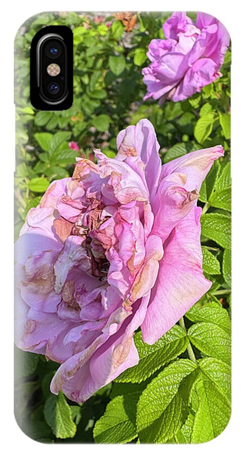 Nippersink Rose - Phone Case
