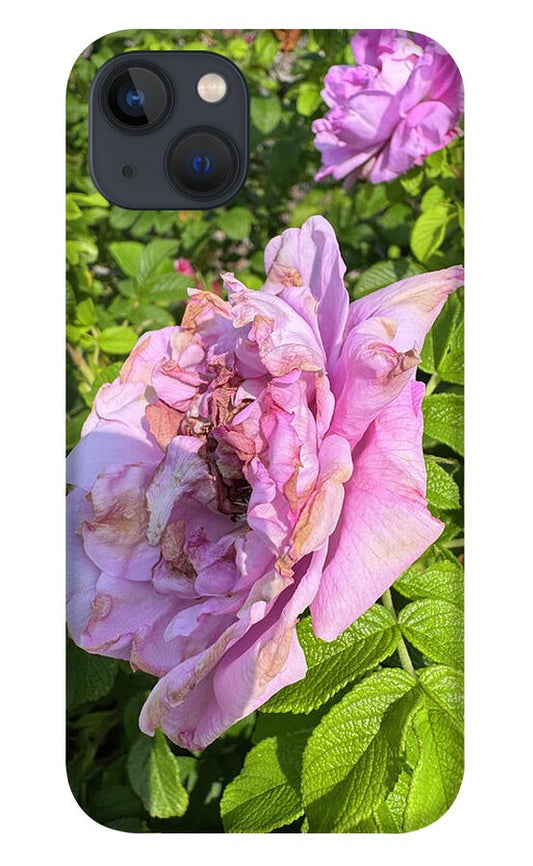 Nippersink Rose - Phone Case