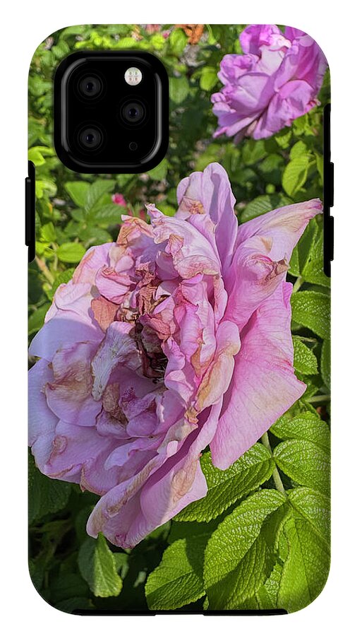 Nippersink Rose - Phone Case