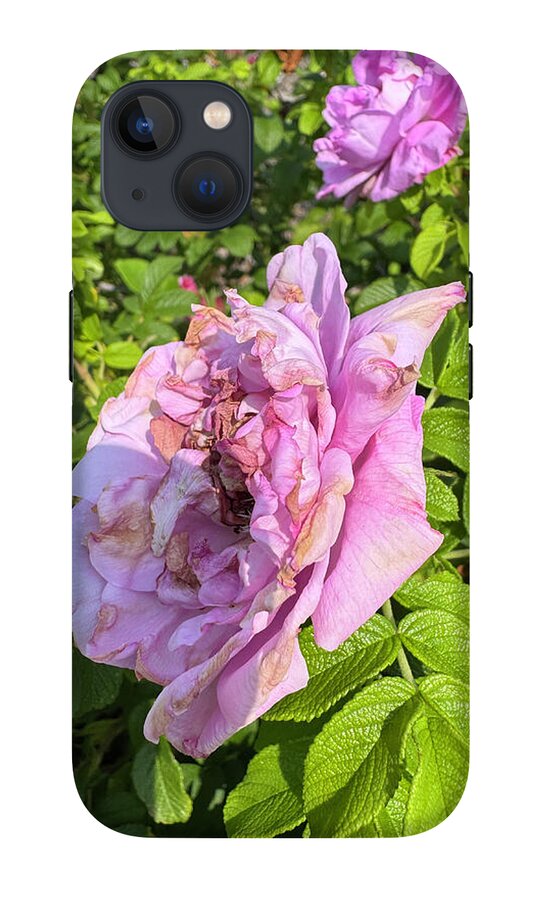Nippersink Rose - Phone Case
