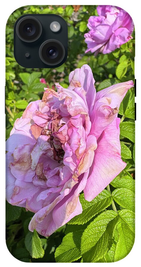 Nippersink Rose - Phone Case