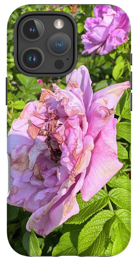 Nippersink Rose - Phone Case