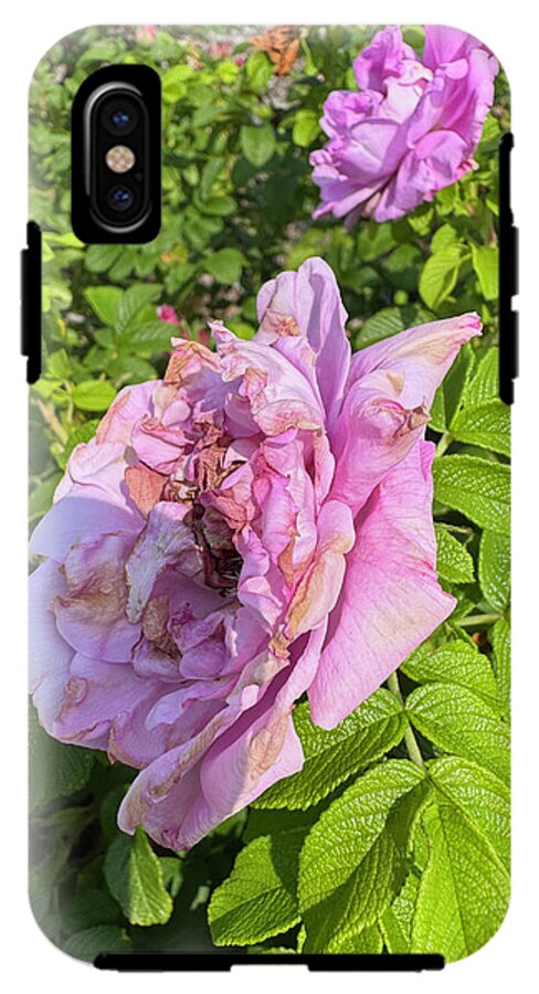 Nippersink Rose - Phone Case