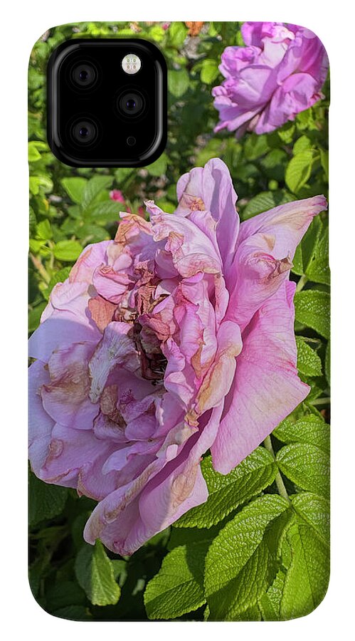 Nippersink Rose - Phone Case