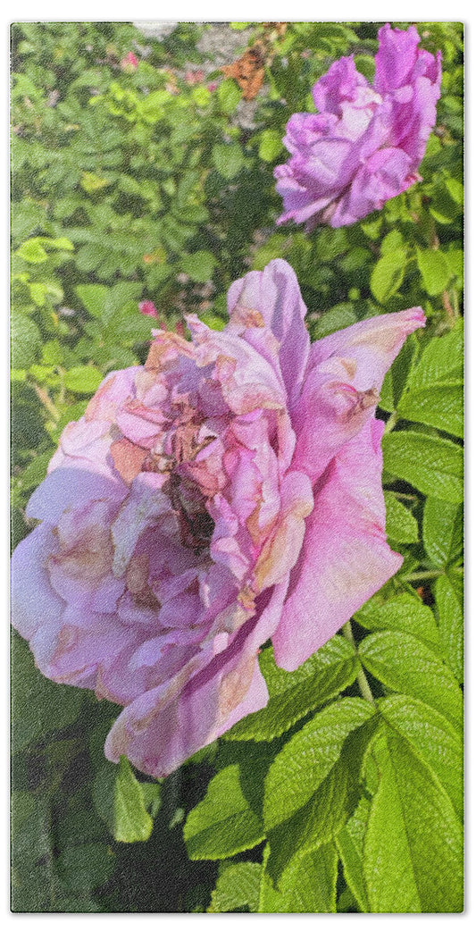 Nippersink Rose - Beach Towel