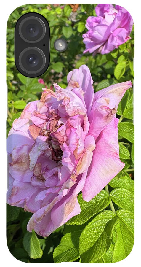 Nippersink Rose - Phone Case