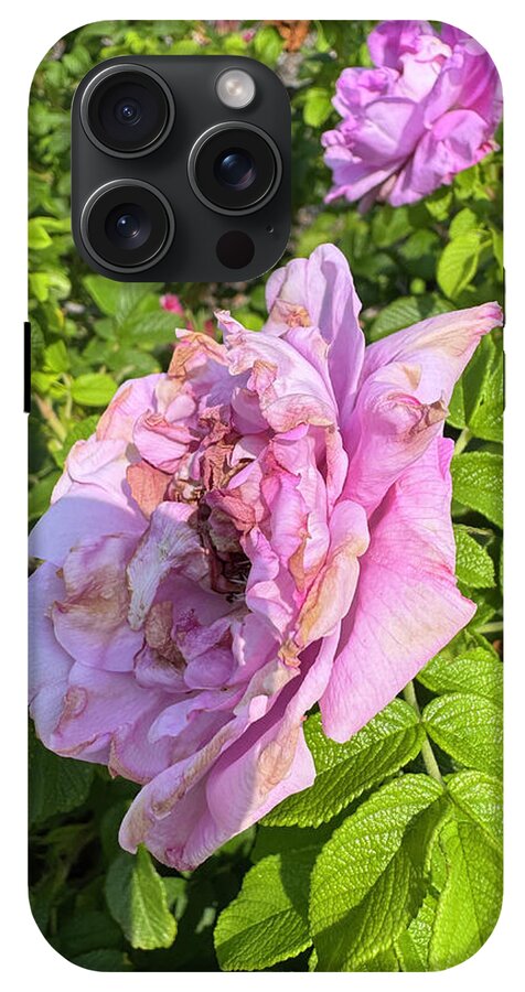 Nippersink Rose - Phone Case