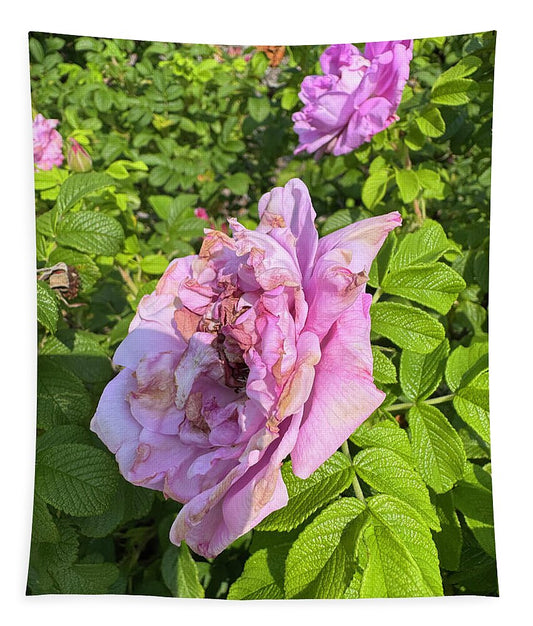 Nippersink Rose - Tapestry