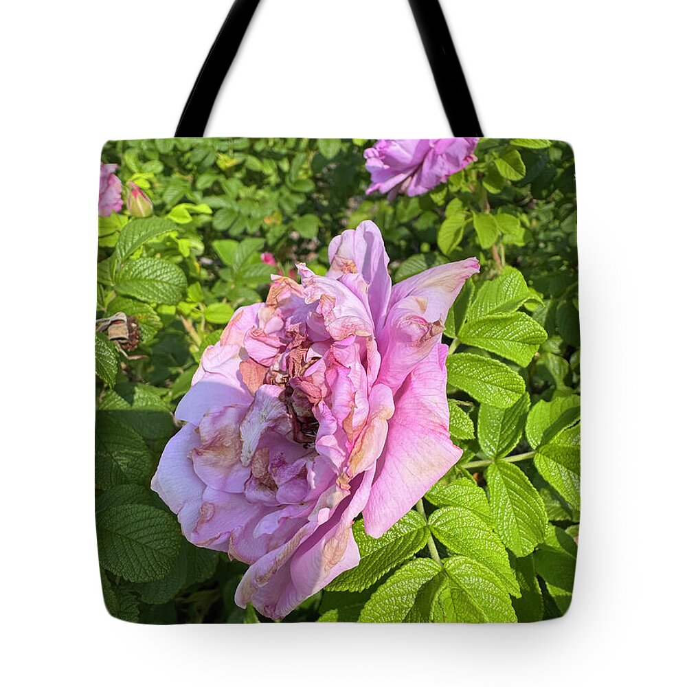 Nippersink Rose - Tote Bag