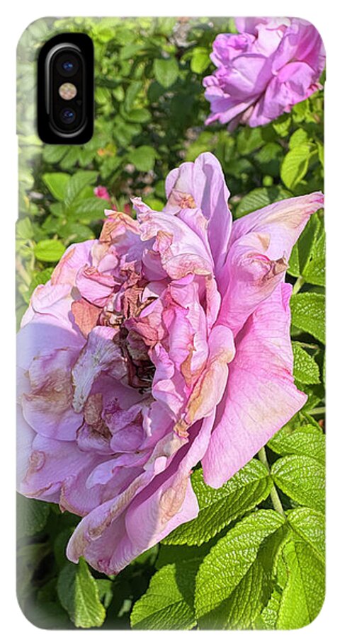 Nippersink Rose - Phone Case