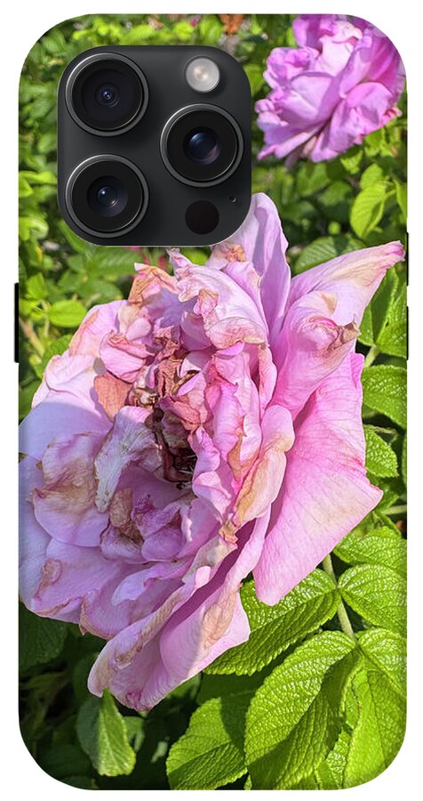 Nippersink Rose - Phone Case