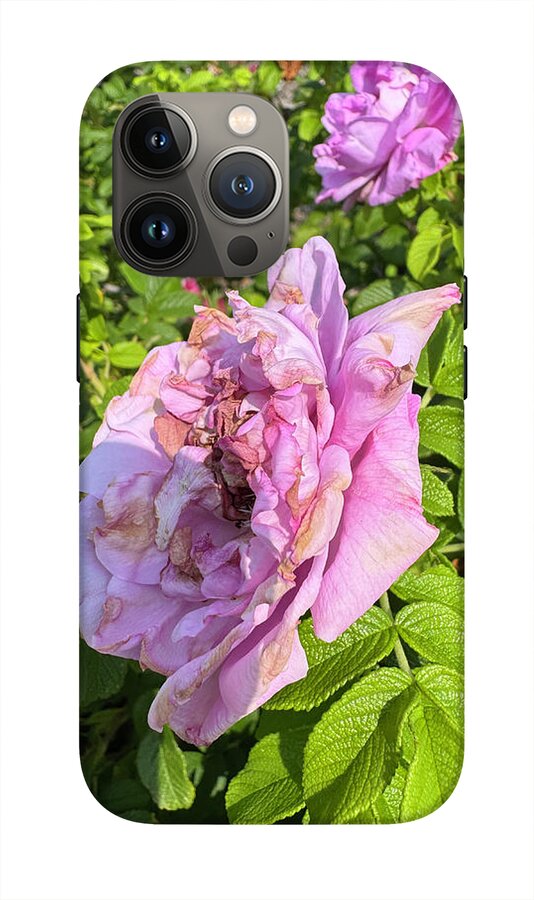 Nippersink Rose - Phone Case