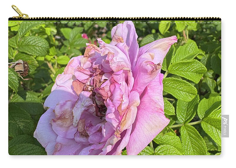 Nippersink Rose - Zip Pouch