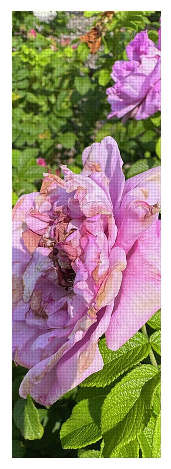 Nippersink Rose - Yoga Mat