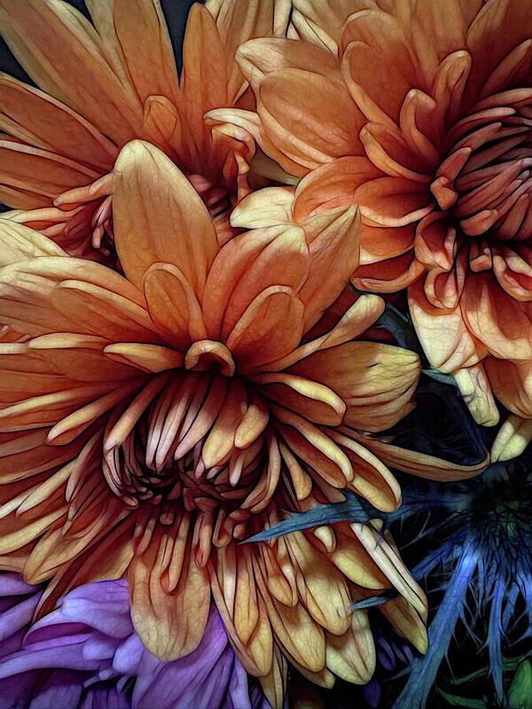 October Flowers 8 Vibrant Orange Flowers Close-Up - Art Print