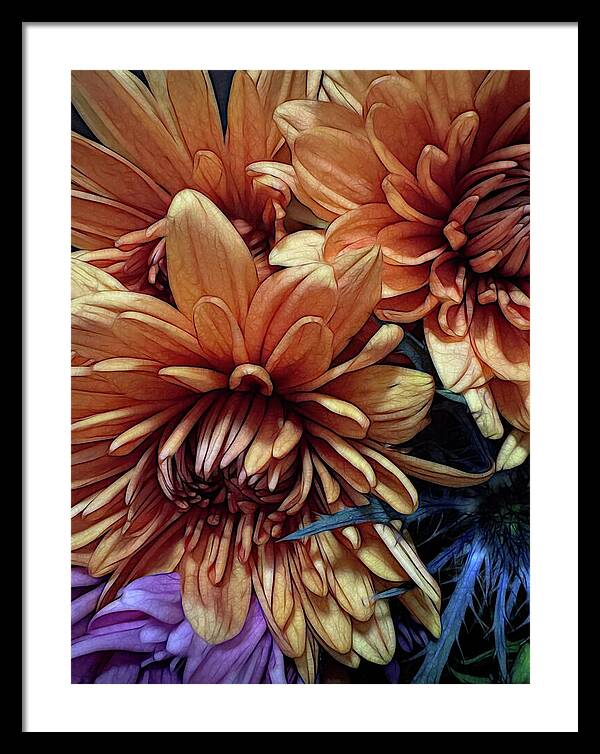 October Flowers 8 Vibrant Orange Flowers Close-Up - Framed Print