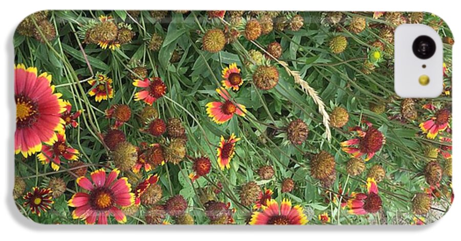 Orange Flower Garden - Phone Case