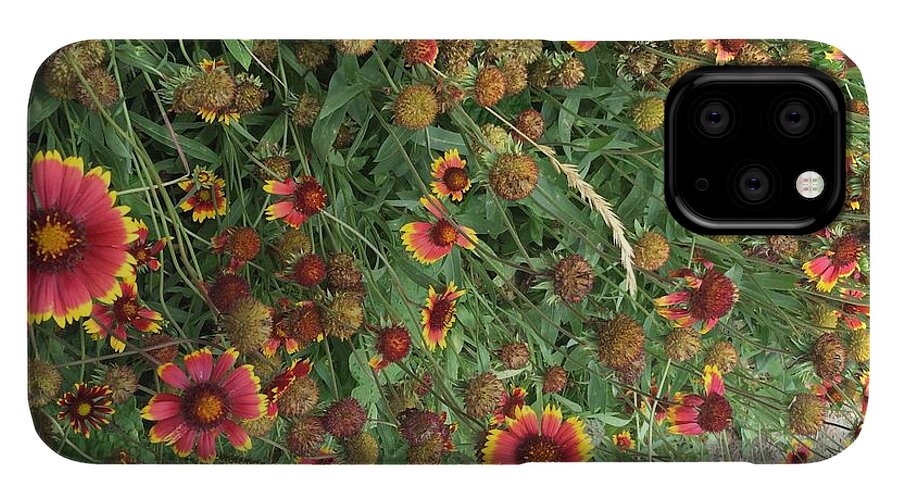 Orange Flower Garden - Phone Case