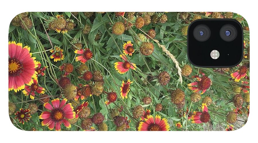 Orange Flower Garden - Phone Case