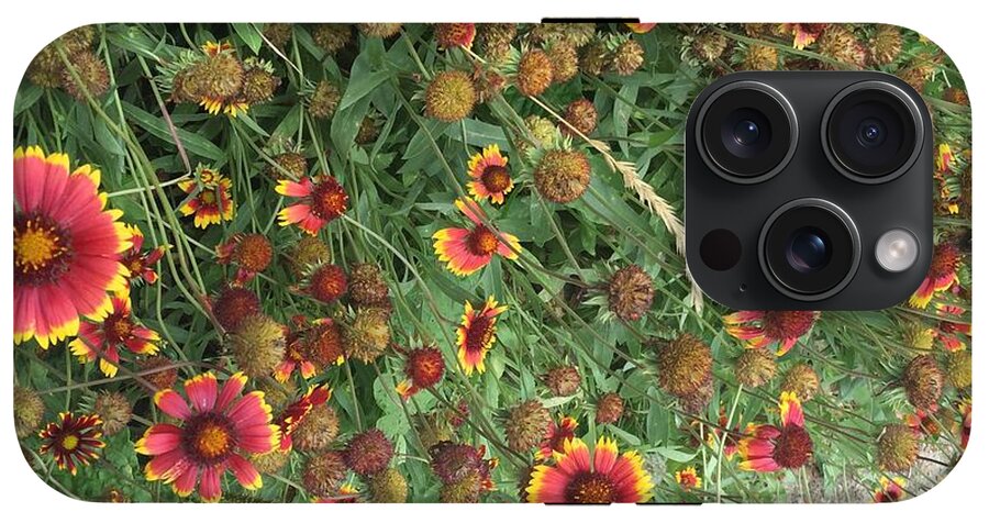 Orange Flower Garden - Phone Case