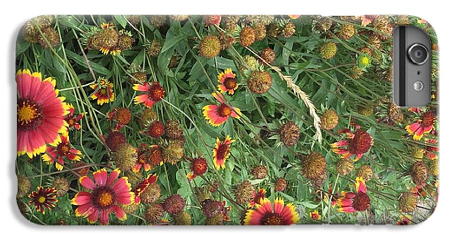 Orange Flower Garden - Phone Case