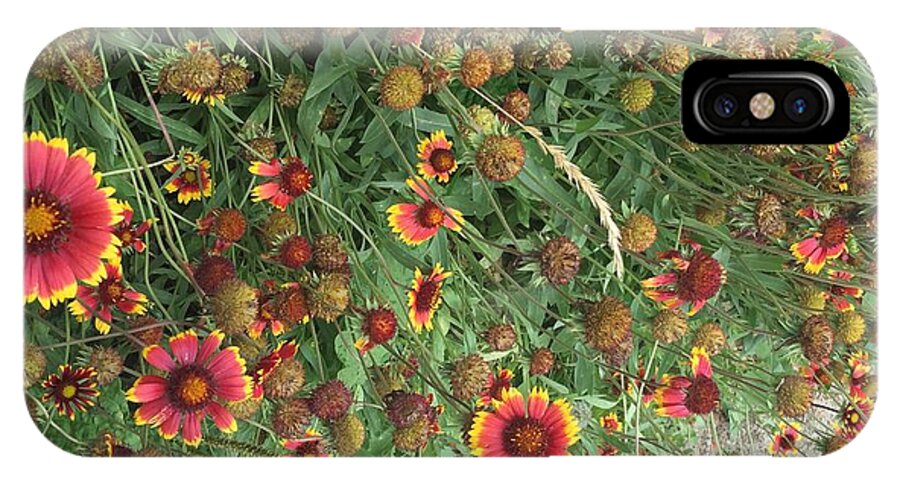 Orange Flower Garden - Phone Case