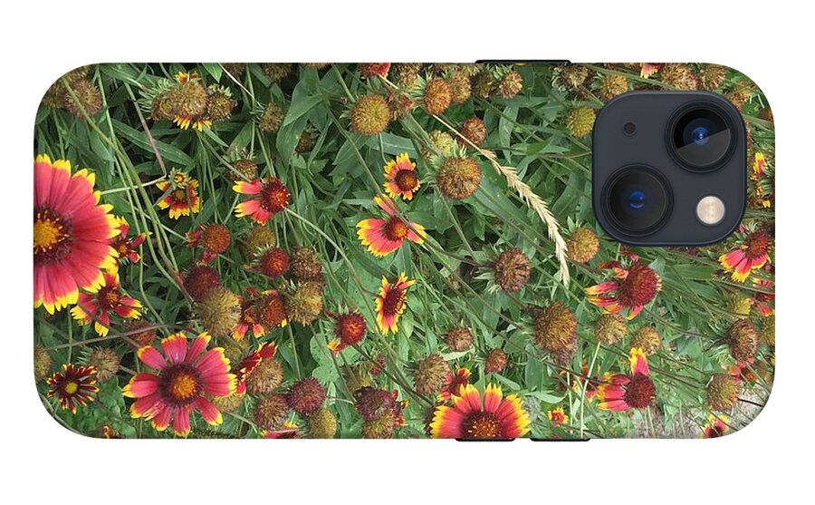 Orange Flower Garden - Phone Case