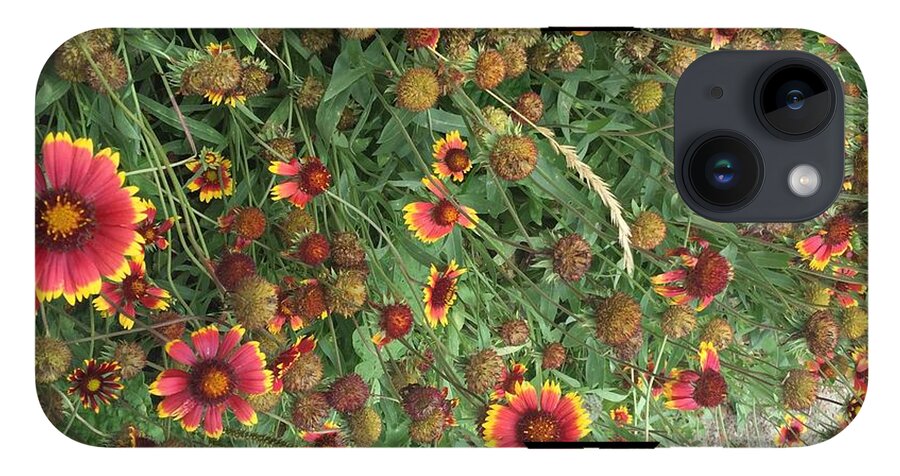 Orange Flower Garden - Phone Case