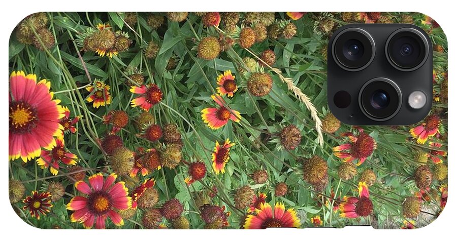 Orange Flower Garden - Phone Case
