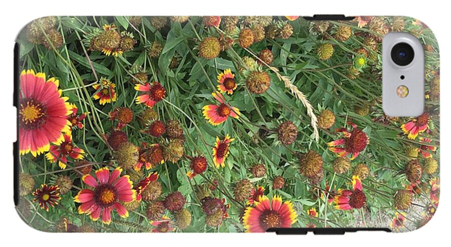 Orange Flower Garden - Phone Case