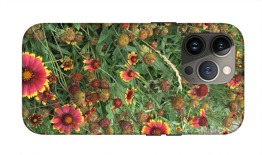 Orange Flower Garden - Phone Case