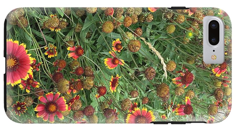 Orange Flower Garden - Phone Case
