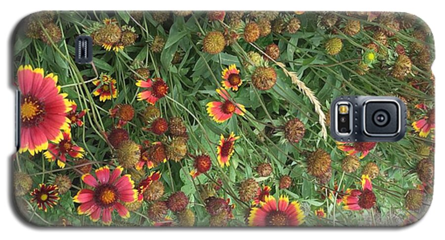 Orange Flower Garden - Phone Case