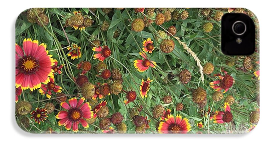 Orange Flower Garden - Phone Case