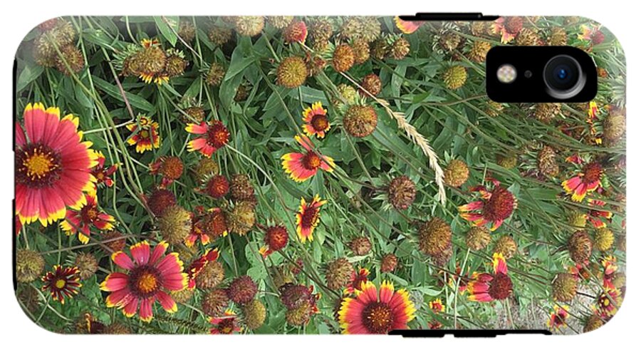 Orange Flower Garden - Phone Case